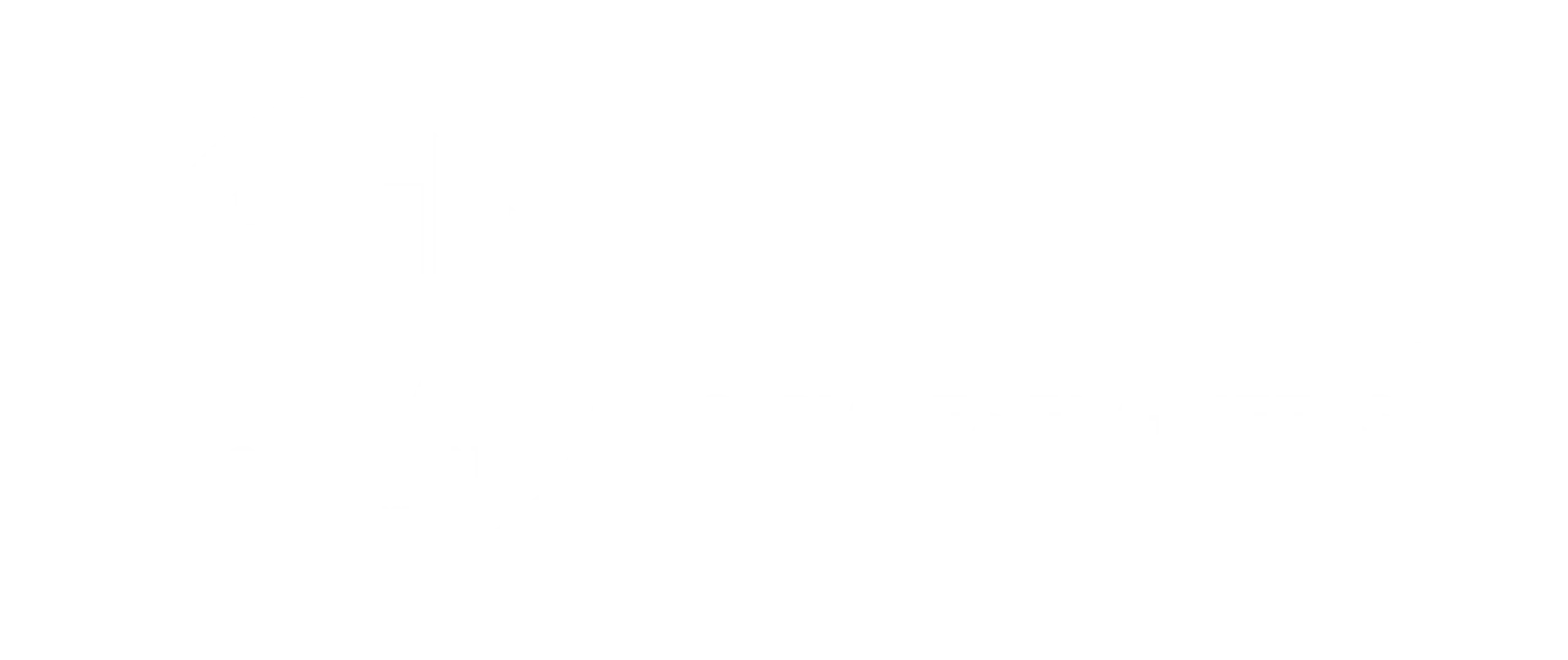 Wide version of the SEA Consulting Logo in plain white